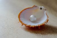 Turning Grit into Pearls