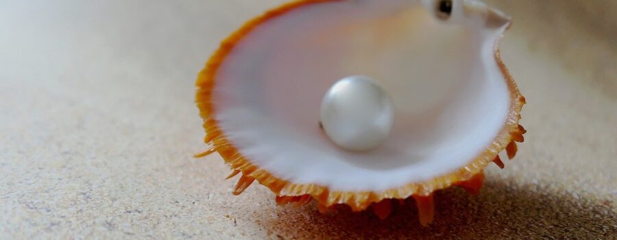 Turning Grit into Pearls